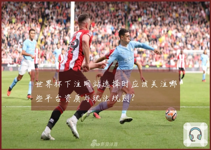 世界杯下注网站选择时应该关注哪些平台资质与玩法规则？