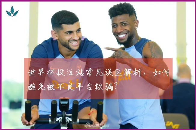 世界杯投注站常见误区解析,如何避免被不良平台欺骗?